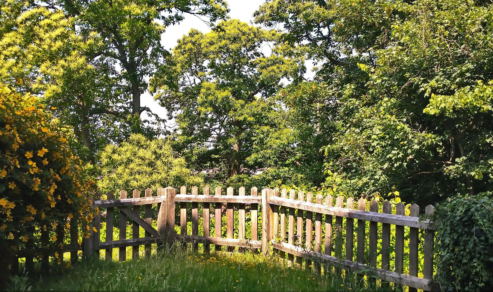 Property Image 30